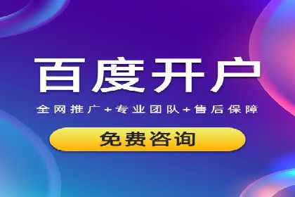 百度广告投放策略与效果评估案例